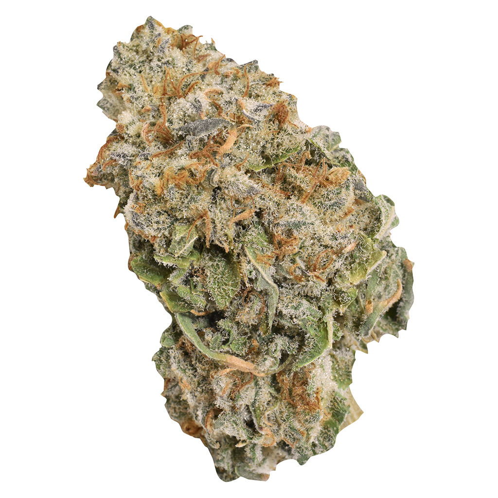 Ripped - Indica